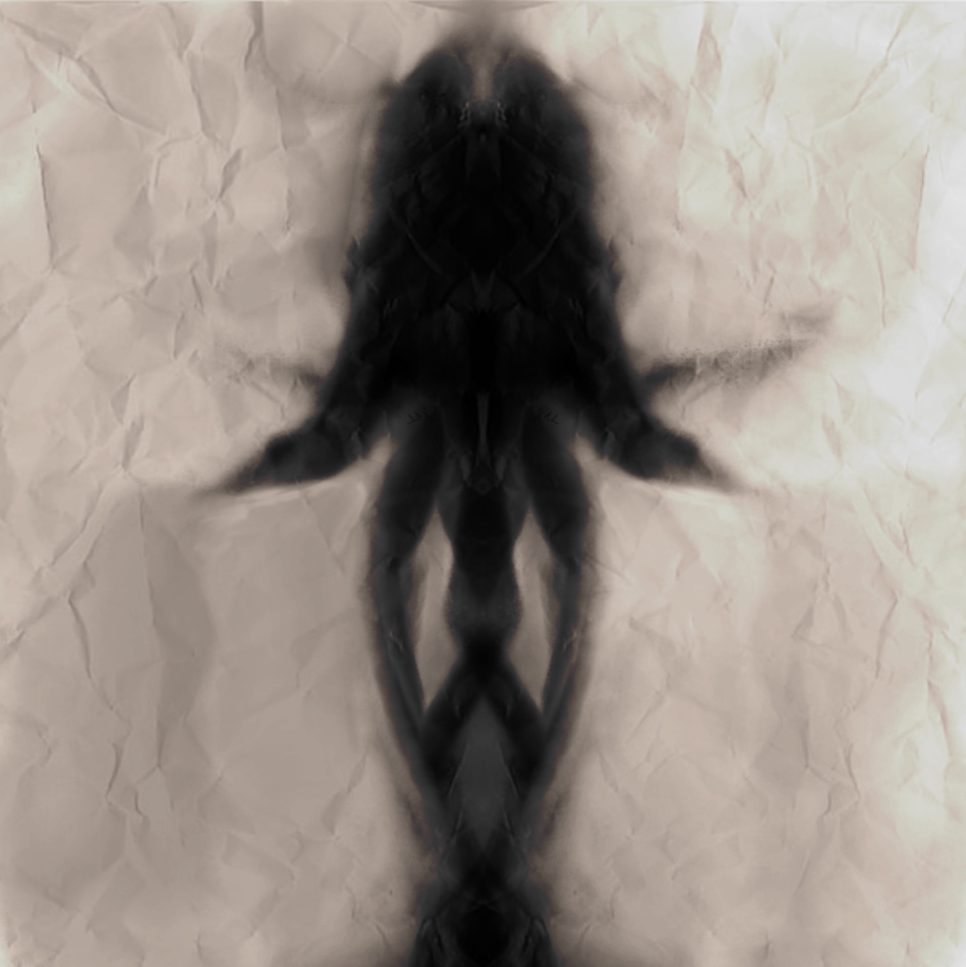 The Voice. It seems to be a nearly symmetrc deep ink blot, smudged and and shaped to be a squid or a person. It's up to interpretation.